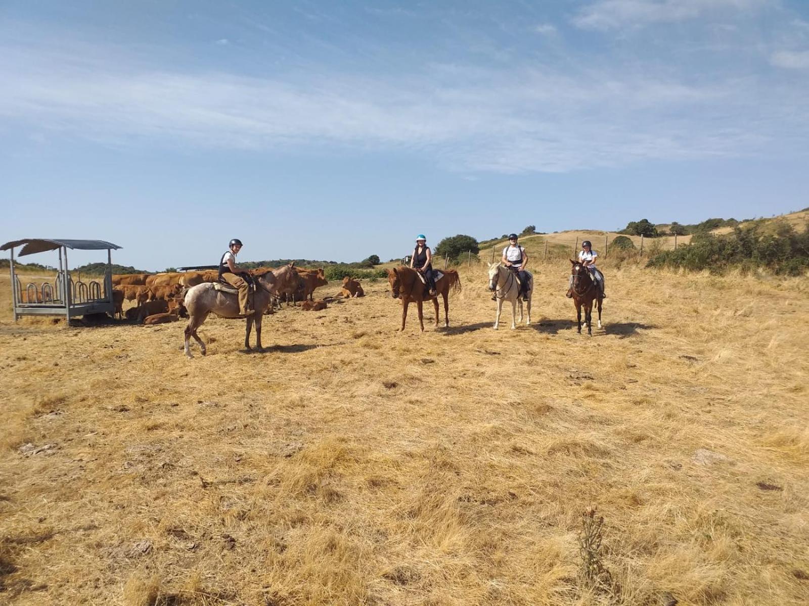 Agriturismo La Guinza 아르치도소 외부 사진