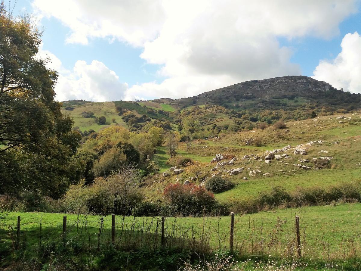 Agriturismo La Guinza 아르치도소 외부 사진