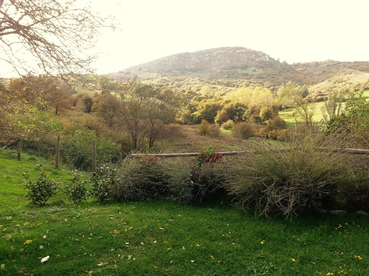 Agriturismo La Guinza 아르치도소 외부 사진
