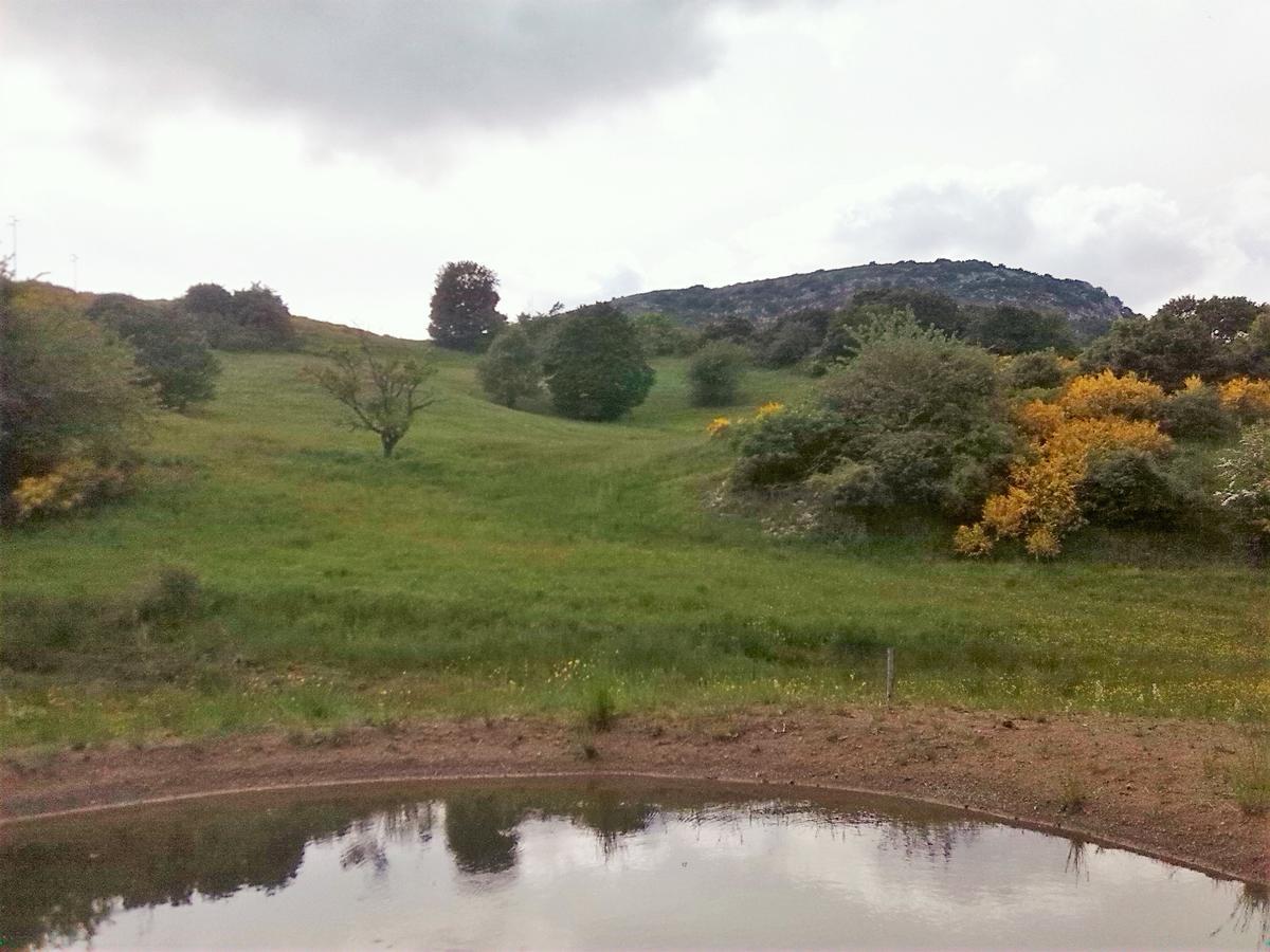Agriturismo La Guinza 아르치도소 외부 사진