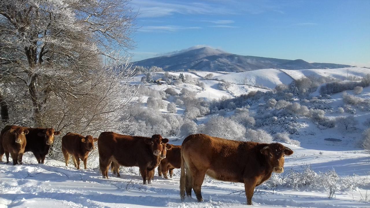 Agriturismo La Guinza 아르치도소 외부 사진